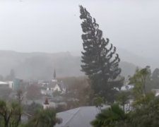 Ураган в Закарпатье.