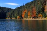 Природа Карпат осенью. Фото: скриншот YouTube-видео