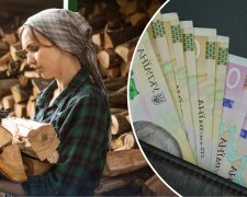 дрова для отопления, государственная помощь на топливо, зимняя подготовка