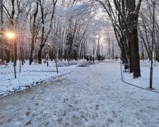 Зимовий пейзаж. Фото: Ukrainianwall