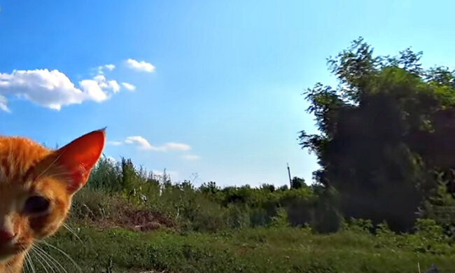 Погода в Україні. Фото: скріншот YouTube-відео.