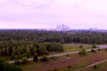 Рыжий лес в Чернобыле. Фото: скриншот YouTube-видео