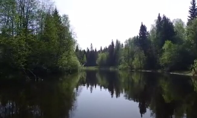 Природа навесні. Фото: скріншот YouTube-відео