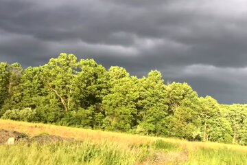 Погода в Украине.  Фото: скриншот YouTube-видео