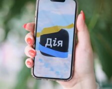 Застосунок "Дія", оновлення, зміни, платежі. Фото: Telegram