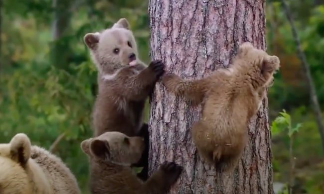 Харьков . Фото: скриншот YouTube