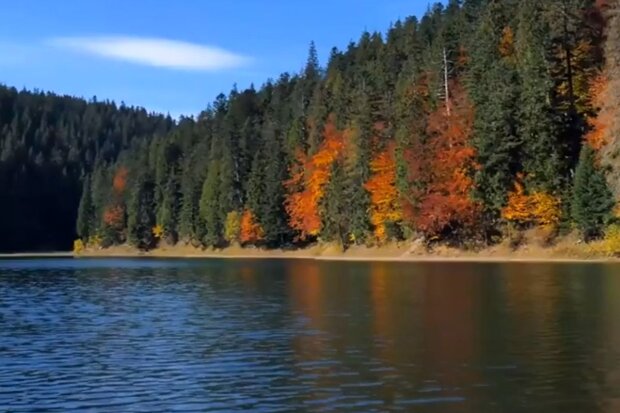 Природа Карпат осенью. Фото: скриншот YouTube-видео