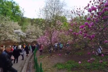 Парк в Киеве. Фото: скриншот YouTube-видео