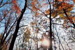 Погода в Украине. Фото: скриншот Youtube-видео