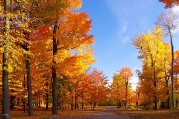 Погода 10 сентября 2019 года