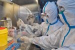 В Японии распространение коронавируса удалось остановить. Фото: Апостроф