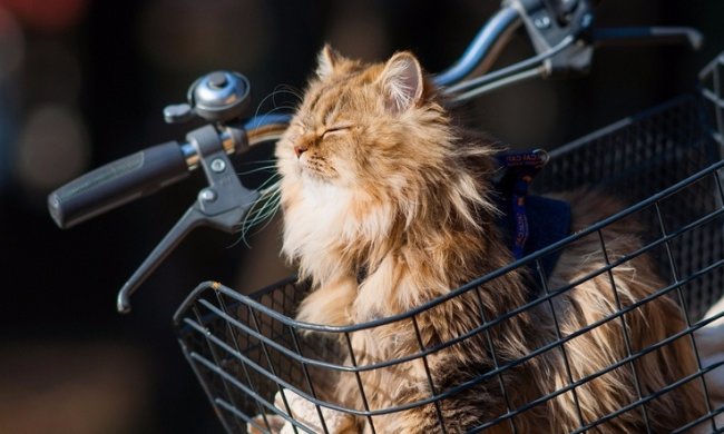 Погода на 7 ноября 2019 года