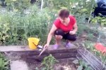 Огород. Фото: скриншот YouTube-видео