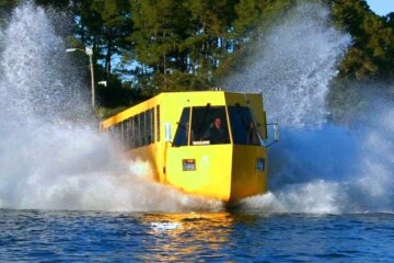 Фото: Общество Новости