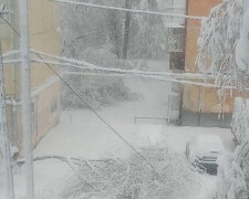 Снігопад у Росії
