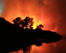 Пожар камыша в Херсонской области. Фото: скрин youtube