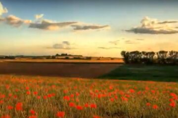 Природа.  Фото: скриншот YouTube-видео