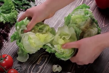 Продукты. Фото: YouTube, скрин