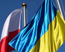 Гетманцев рассказал как Польша нажилась на украинских беженцах. Фото: YouTube