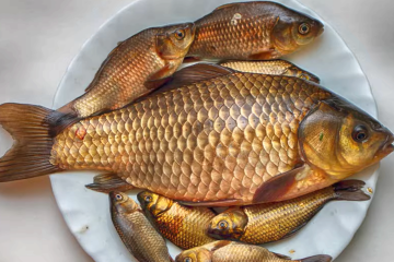 В Украине может исчезнуть популярная речная рыба. Фото: YouTube