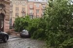 Дожди и ураганы в Украине. Фото: скрин youtube