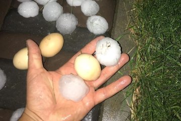 Появилось фото гигантского разрушительного града на Закарпатье: не жалел никого