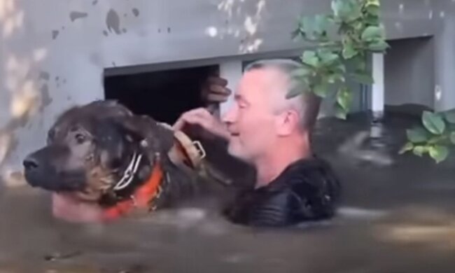 Спасение животного в Херсоне. Фото: скриншот YouTube-видео