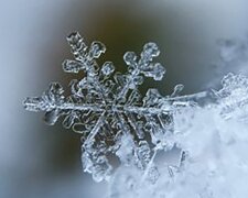 Снег и мороз до минус 6: синоптик Диденко предупредила о погоде во вторник 20 ноября