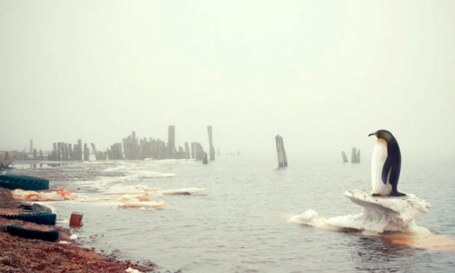 Уже через 30 лет Земля будет непригодна для жизни, государства будут распадаться