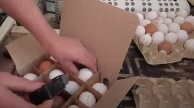 Яйця на продаж, фото: youtube.com