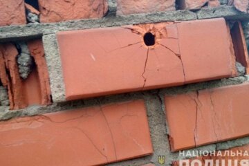 В Донецкой области мужчина выпустил в частный дом 14 пуль
