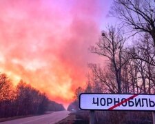 Последствия из-за масштабного пожара на ЧАЭС, радиационный фон, предупреждение. Фото: из сети