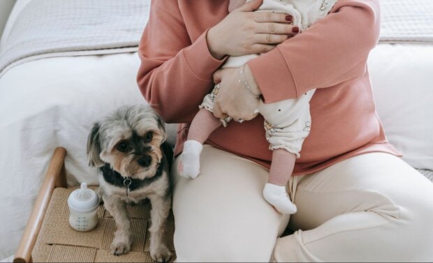 Декрет, стаж за декрет, пенсия. Фото: Telegram