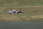 Природа весной. Фото: скриншот YouTube-видео