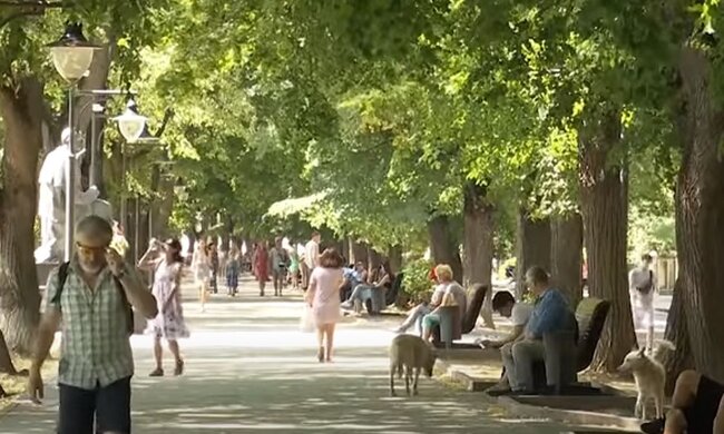 Погода в Украине летом. Фото: скриншот YouTube-видео