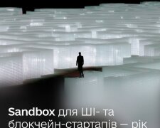 Sandbox: год масштабирования украинских стартапов
