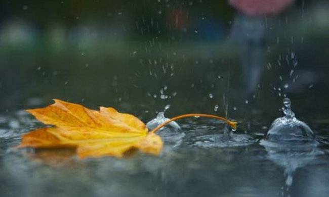 Погода 24 сентября 2019 года