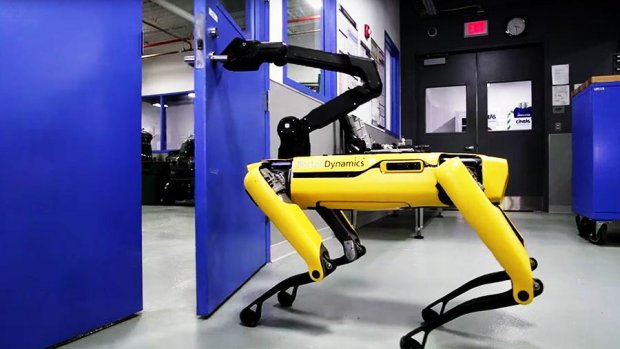 Роботособаки от компании Boston Dynamics покорили не только интернет, но и дороги