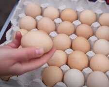 Яйця. Фото: скріншот YouTube-відео