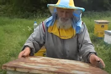 Пчеловоды: Скриншот YouTube