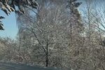 Украину засыплет снегом. Фото: скриншот видео