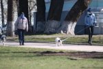 Источник: Вести.ua
