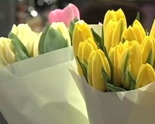 Тюльпаны. Фото: скриншот YouTube-видео
