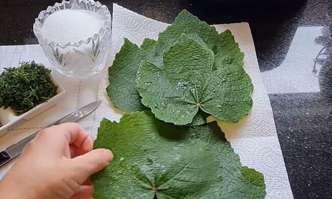 Обов'язково спробуйте цю красу: рецепт маринованих огірків у виноградному листі