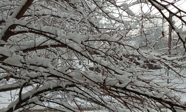 Снег. Фото: сайт Стена