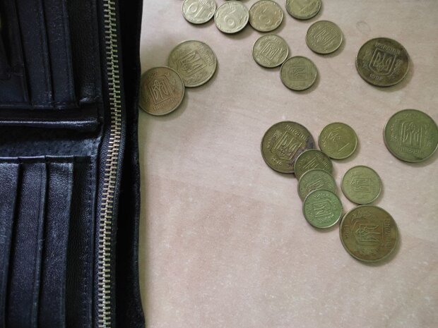 Монети, позбавлення виплат. Фото: Ukrainianwall