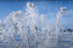 Природа. Фото: YouTube, скрин