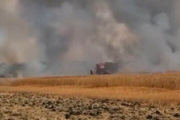Пожар в поле. Фoто: скриншот YouTube