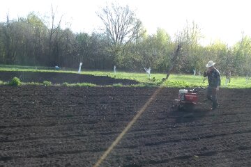 Огород. Фото: скриншот YouTube-видео