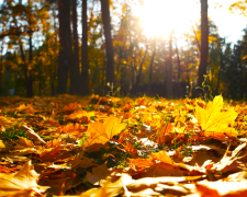 Синоптик Диденко предупредила о погоде в Украине 18 ноября